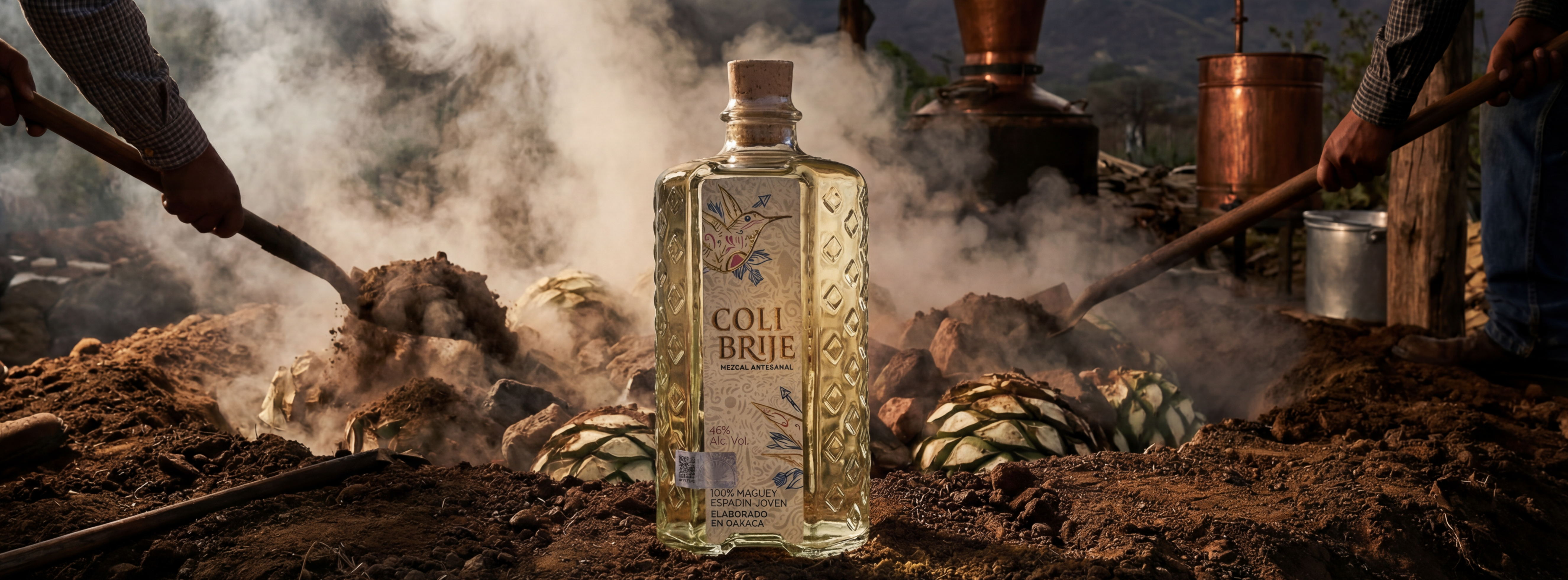 Agave landscape for Mezcales Colibrije products